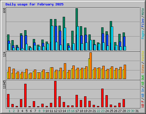Daily usage for February 2025