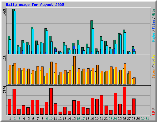 Daily usage for August 2025