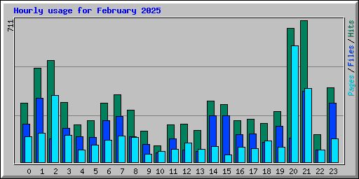 Hourly usage for February 2025
