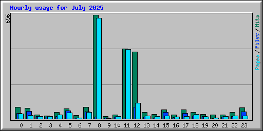 Hourly usage for July 2025