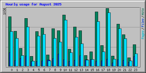 Hourly usage for August 2025