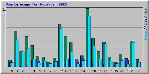 Hourly usage for November 2025
