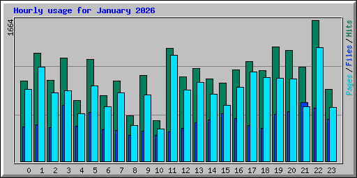 Hourly usage for January 2026