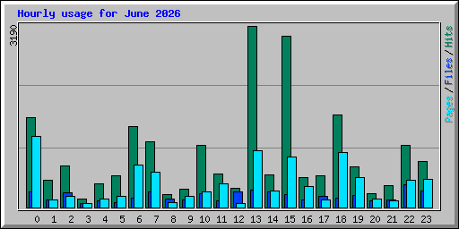 Hourly usage for June 2026