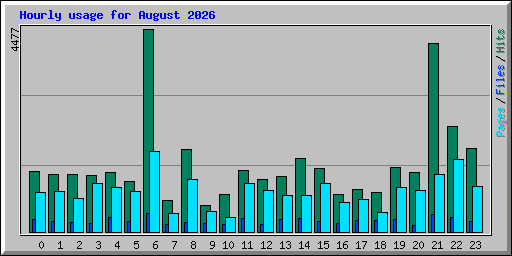 Hourly usage for August 2026