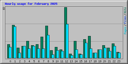 Hourly usage for February 2025