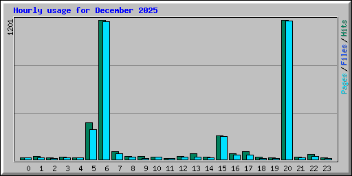 Hourly usage for December 2025