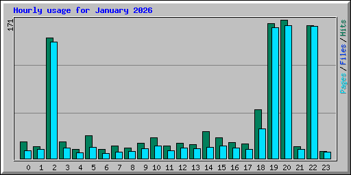 Hourly usage for January 2026